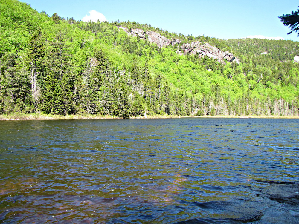 gentian pond view south end from shelburne nh