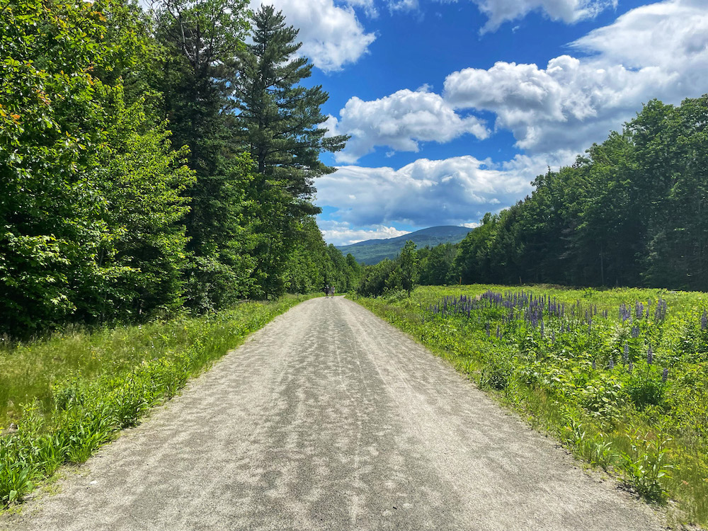 casey's way trail walking path gorham in the summer