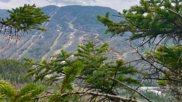 lilas ledge hike view of wildcat mountain