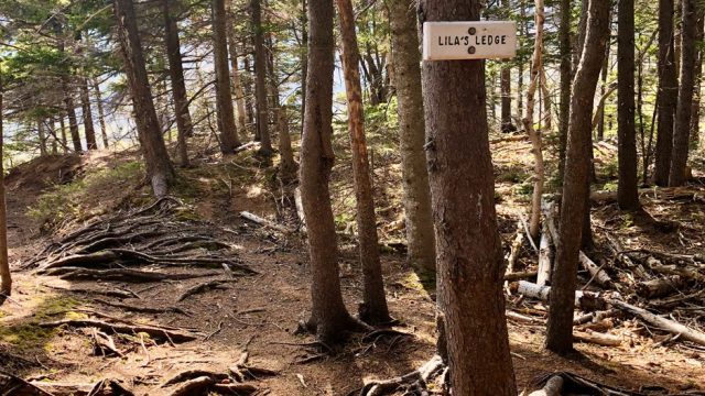 lilas ledge brads bluff hike