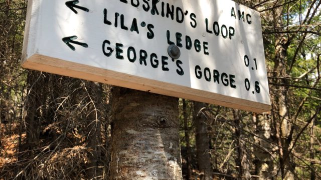 liebskinds loop trail sign usfs gorham nh