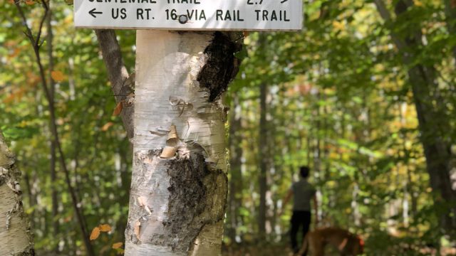 mahoosuc trail sign mascot pond mt hayes gorham nh