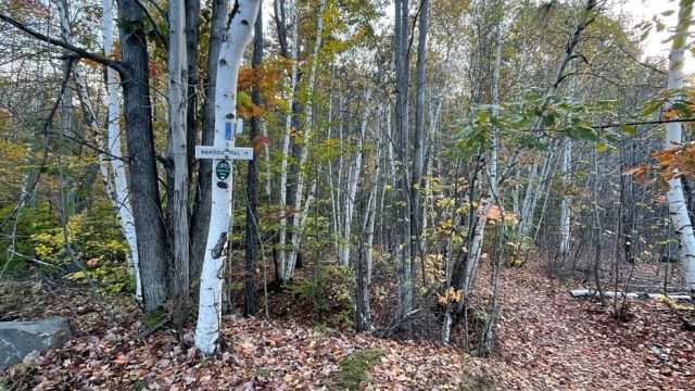 mahoosuc trail sign fork toward mascot pond gorham nh fall