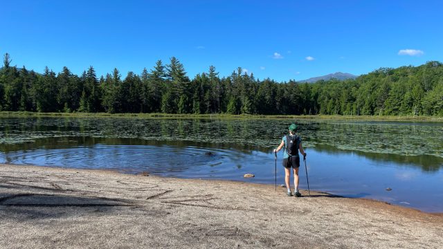 mascot pond hike june 2022