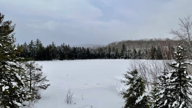 mascot pond snowshoeing winter gorham nh