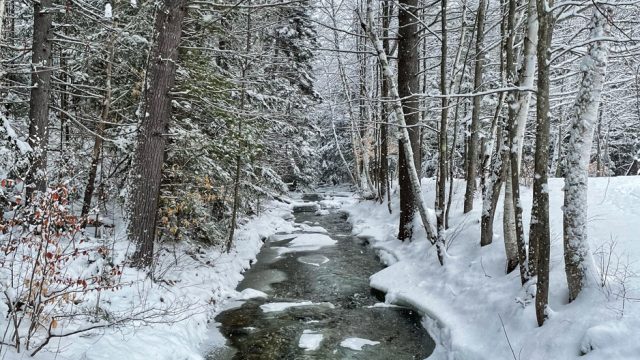 moose brook state park winter