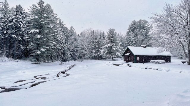 moose brook state park in winter, snowshoeing and cross country skiing.