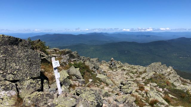 mount adams via airline trail view