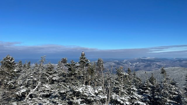 mount moriah grayjay summit view winter january gorham nh