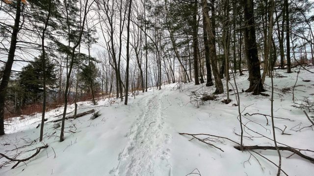 mount surprise gorham nh winter hiking trail conditions