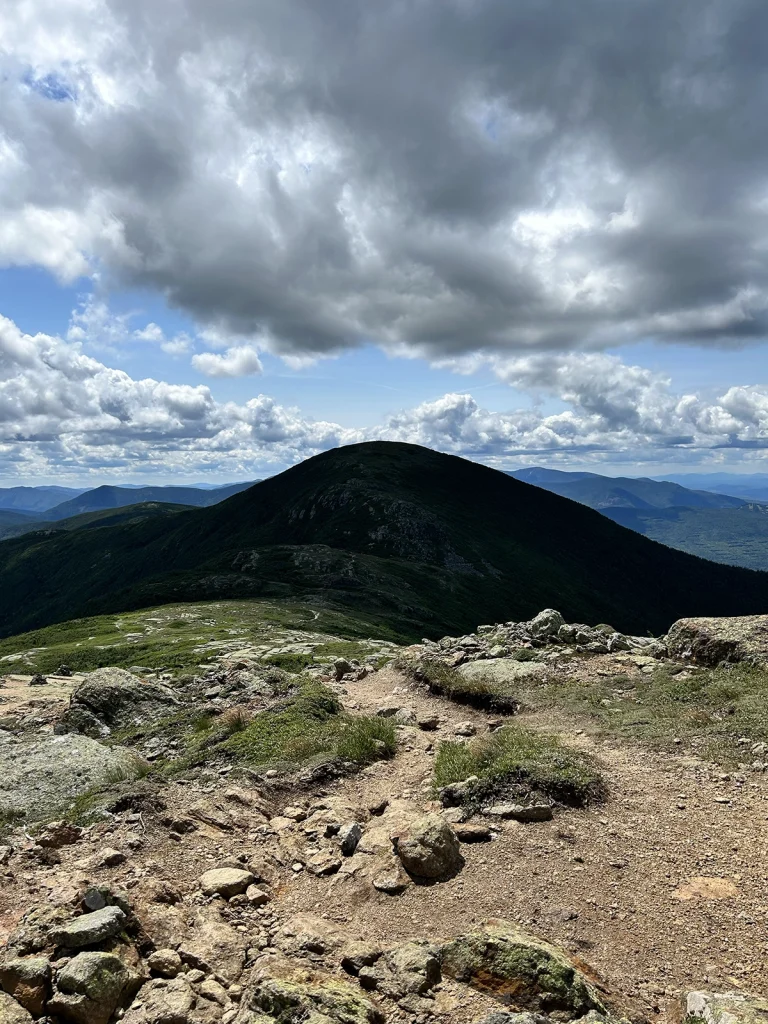 Carter notch